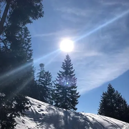 Mit Hallenbad Und Sauna In Seefeld Appartement *