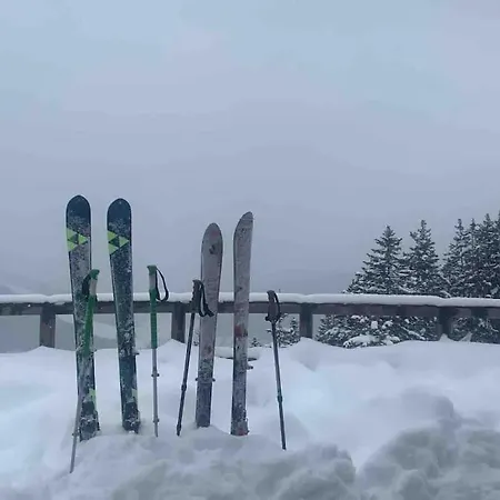 Mit Hallenbad Und Sauna In Seefeld Seefeld in Tirol