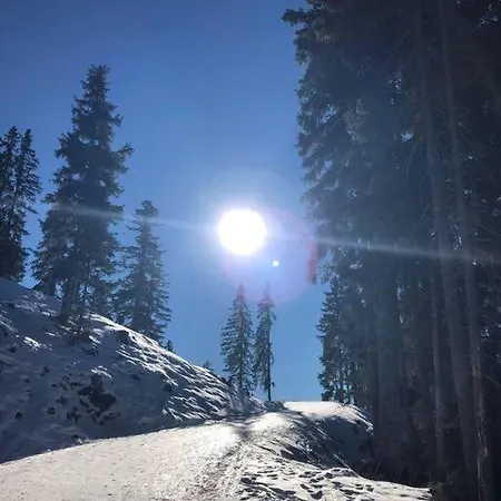 Mit Hallenbad Und Sauna In Seefeld *