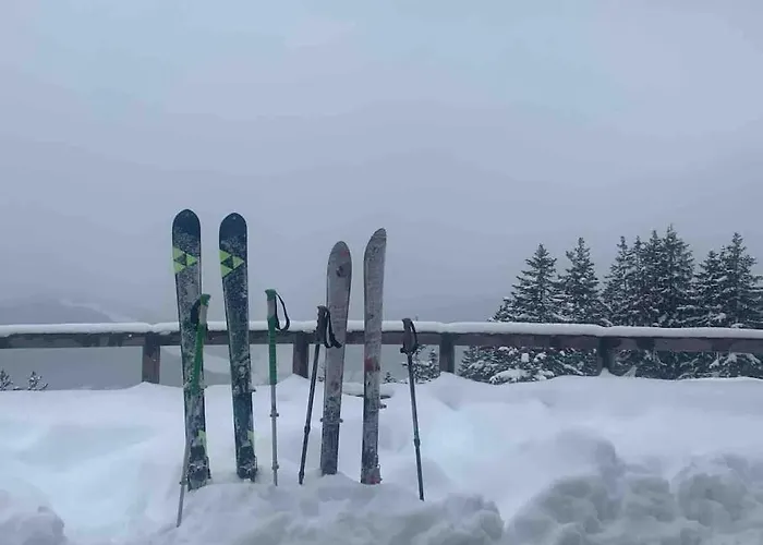 Mit Hallenbad Und Sauna In Seefeld 蒂罗尔-泽费尔德